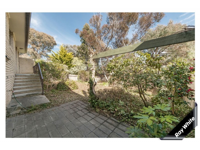 2/3 Sexton Street, Cook ACT 2614