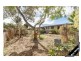 2/3 Sexton Street, Cook ACT 2614