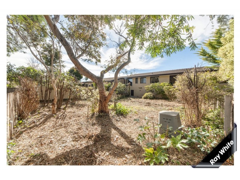 2/3 Sexton Street, Cook ACT 2614
