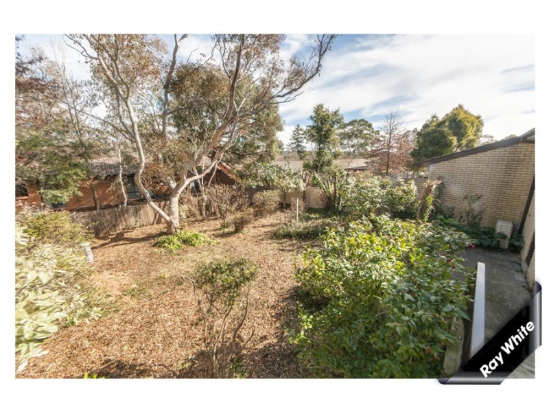 2/3 Sexton Street, Cook ACT 2614