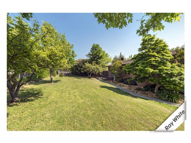 12 Potts Place, Farrer ACT 2607