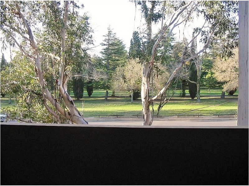 4/38 Watson Street, Turner ACT 2612