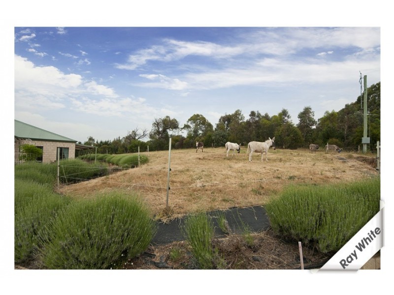 17 Marked Tree Road, Gundaroo NSW 2620