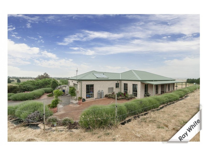 17 Marked Tree Road, Gundaroo NSW 2620