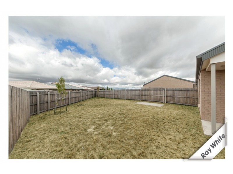 11/204 Macfarlane Burnet Avenue, Macgregor ACT 2615