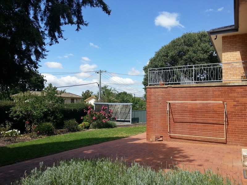 15 Bavin Street, Curtin ACT 2605