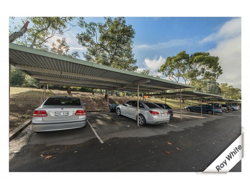 4/6 Wilkins Street, Mawson ACT 2607