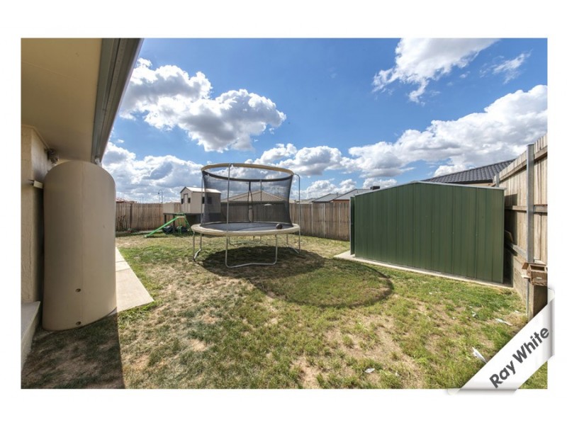 144 Macfarlane Burnet Avenue, Macgregor ACT 2615
