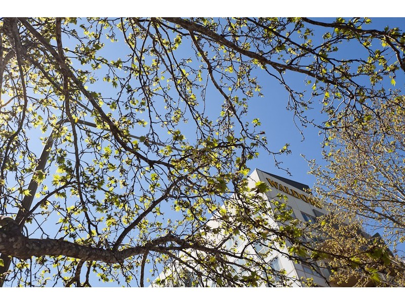 222/2 Akuna Street, City ACT 2601