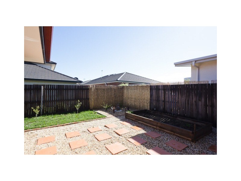 17 Ruth Bedford Street, Franklin ACT 2913