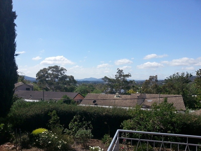 15 Bavin Street, Curtin ACT 2605