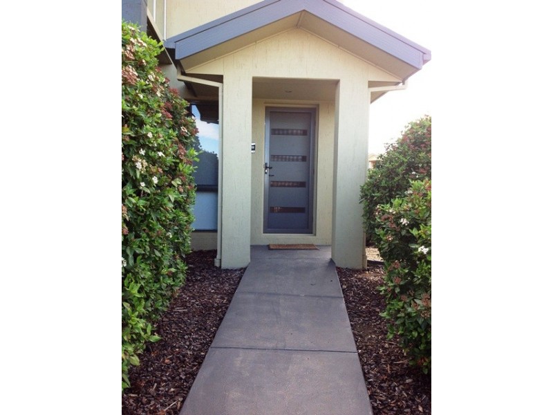 41 HAZELGROVE STREET, Harrison ACT 2914