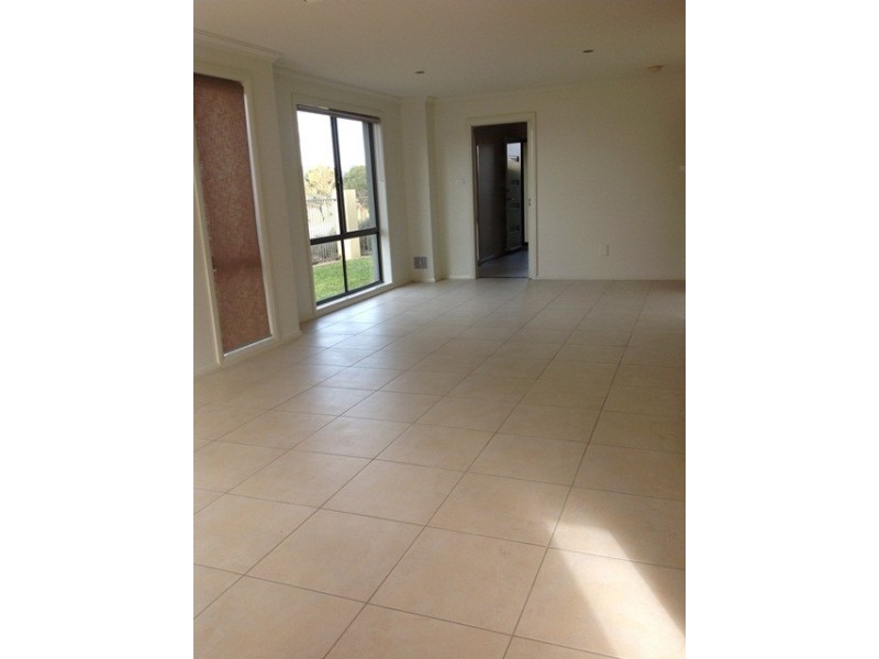 41 HAZELGROVE STREET, Harrison ACT 2914