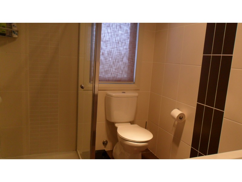 41 HAZELGROVE STREET, Harrison ACT 2914