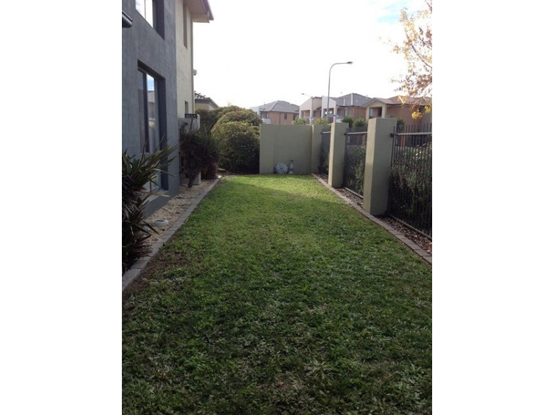 41 HAZELGROVE STREET, Harrison ACT 2914