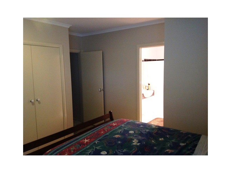 91 Carruthers Street, Curtin ACT 2605