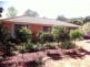 113 Castleton Crescent, Gowrie ACT 2904