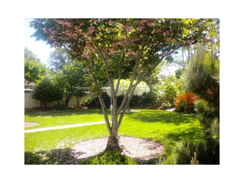 113 Castleton Crescent, Gowrie ACT 2904