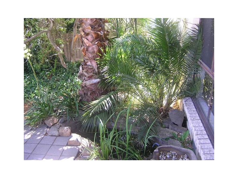 22b Kneeshaw Street, Monash ACT 2904