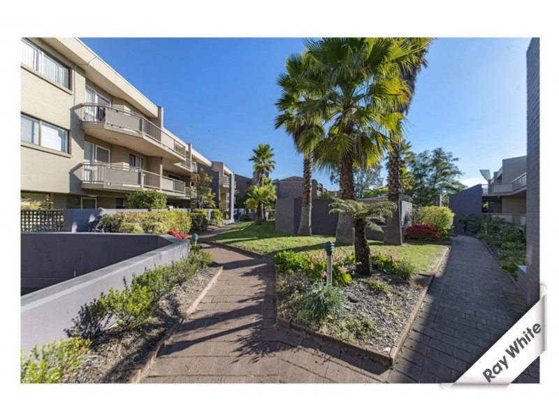 105/10 Currie Crescent, Griffith ACT 2603