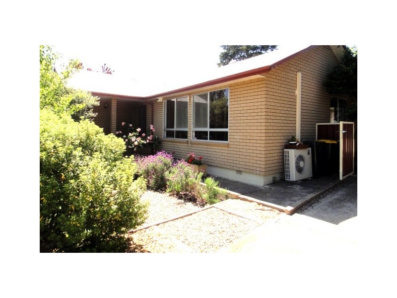 22 Raymond Street, Ainslie ACT 2602