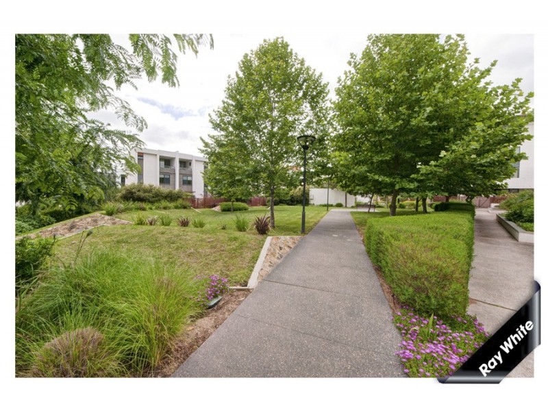 70/104 GILES STREET, Kingston ACT 2604