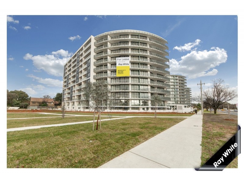 339/1 MOUAT STREET, Lyneham ACT 2602