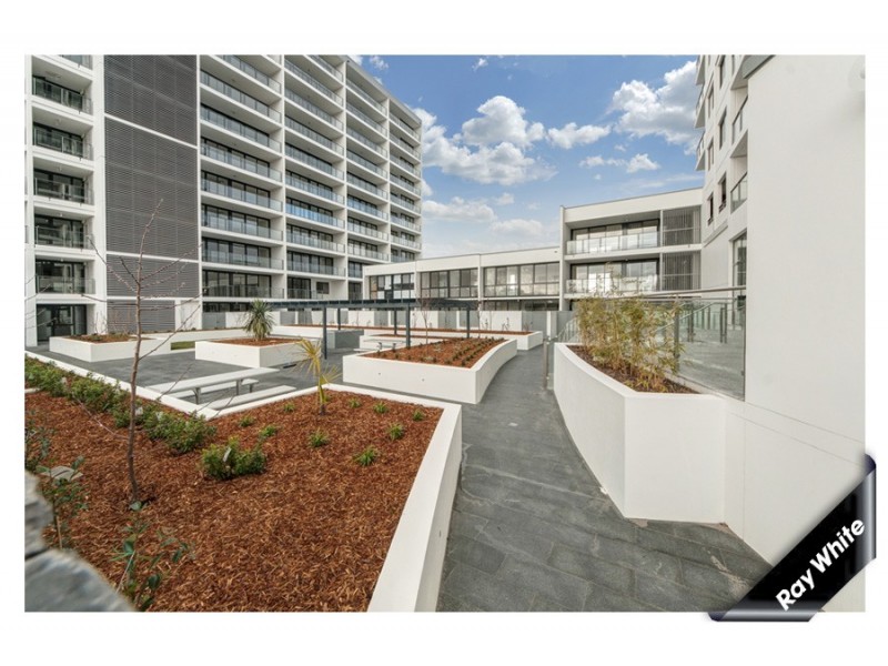 339/1 MOUAT STREET, Lyneham ACT 2602