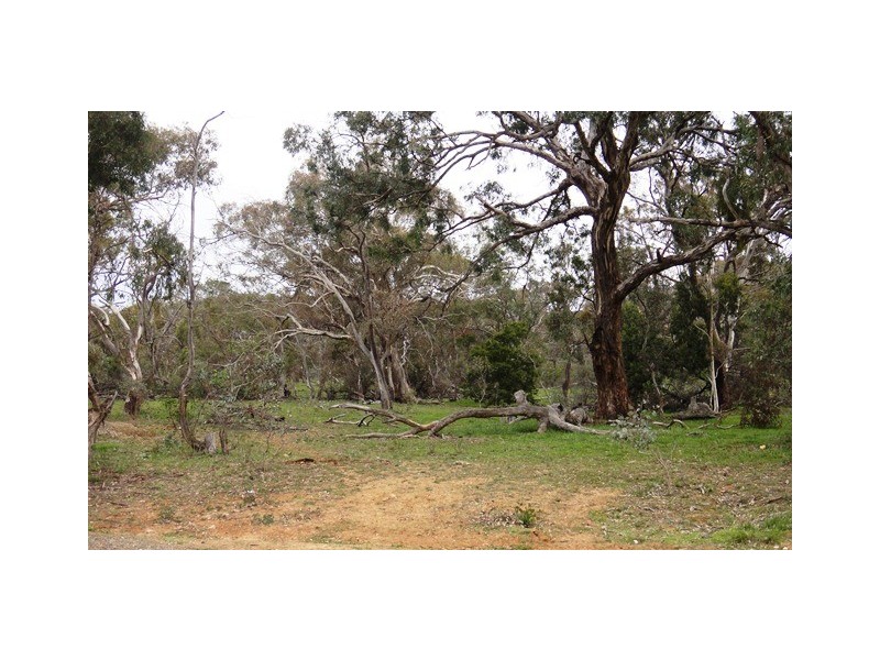 27/127 Madigan Street, Hackett ACT 2602