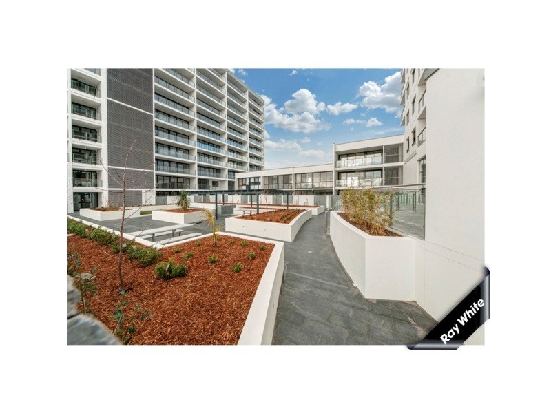 36/1 MOUAT STREET, Lyneham ACT 2602