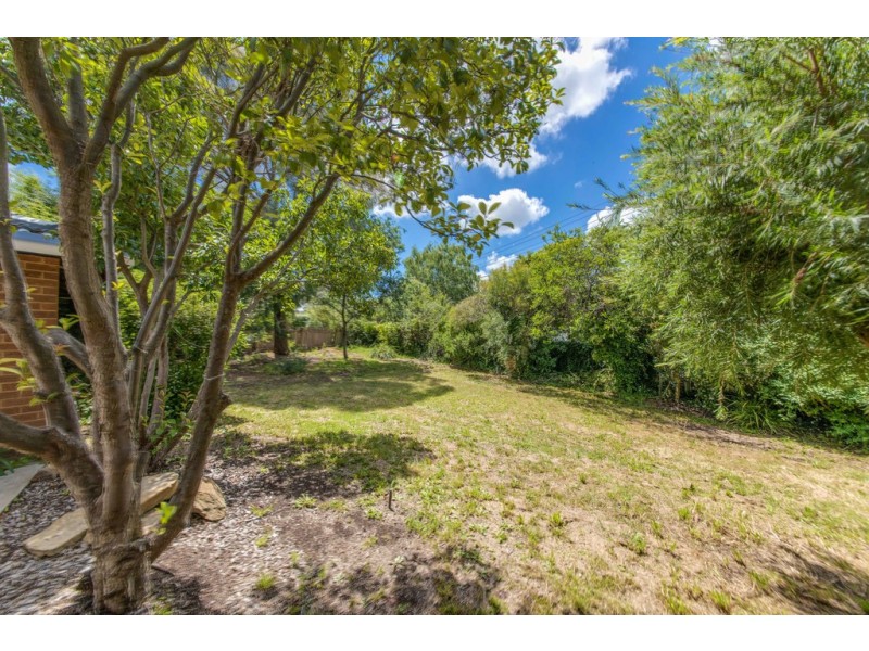 8 Olliff Place, Farrer ACT 2607