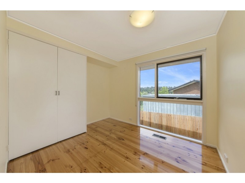 8 Olliff Place, Farrer ACT 2607