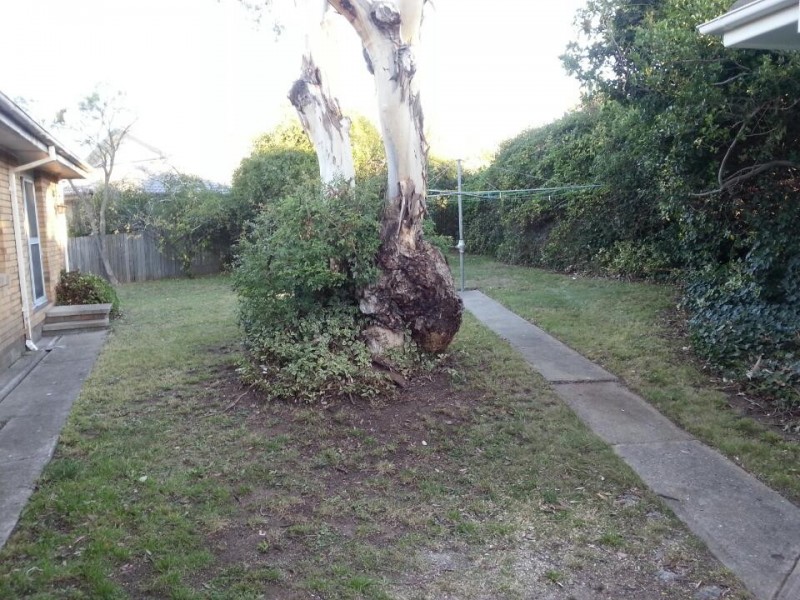 14 Besant Street, Pearce ACT 2607