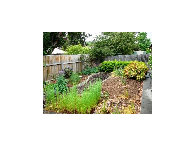 10 Evergood Close, Weston ACT 2611