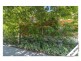 31/1 Waddell Place, Curtin ACT 2605