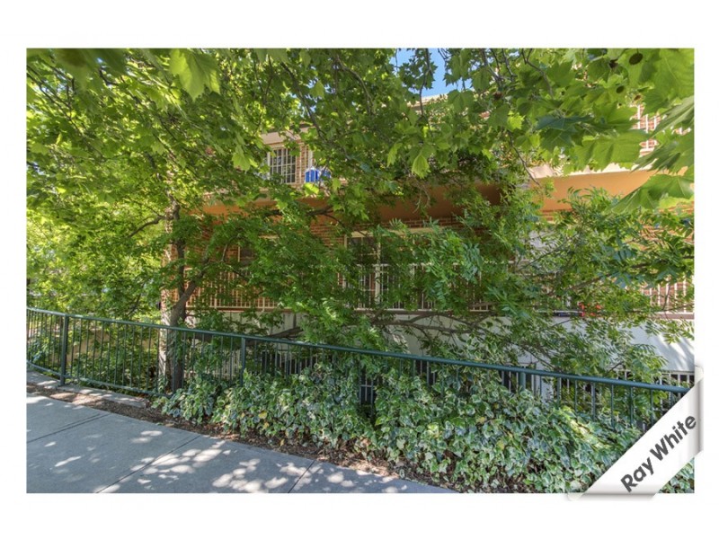 31/1 Waddell Place, Curtin ACT 2605