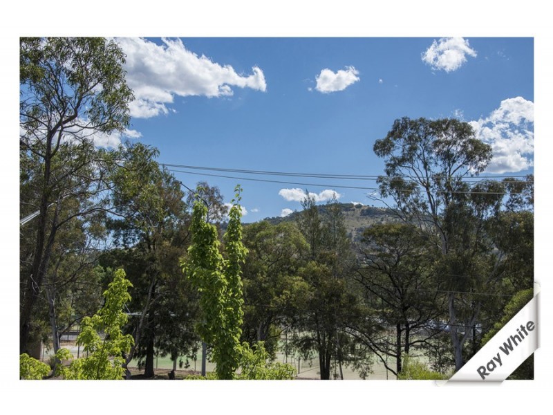 17/6 Heard Street, Mawson ACT 2607