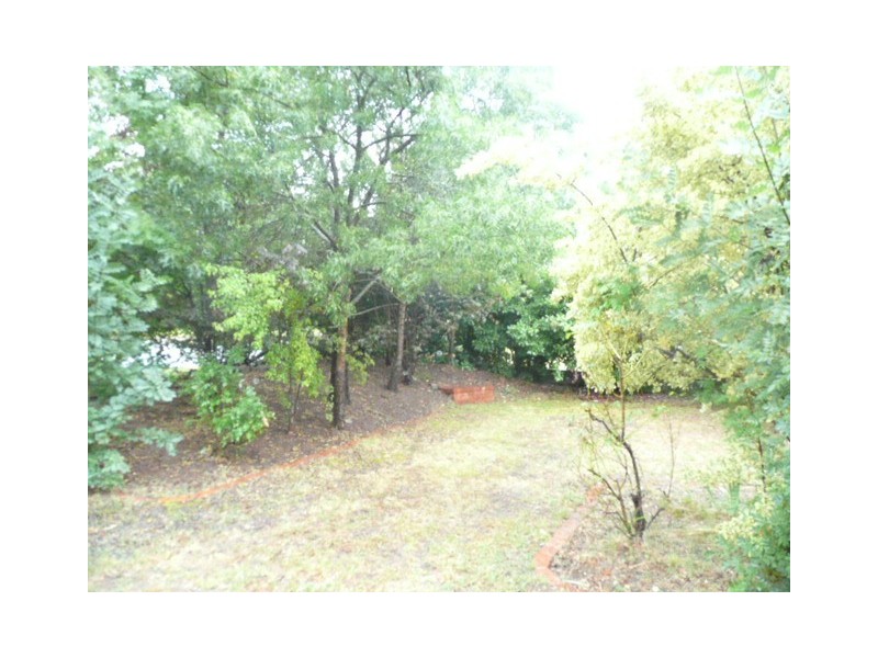 6 Hoadley Street, Mawson ACT 2607