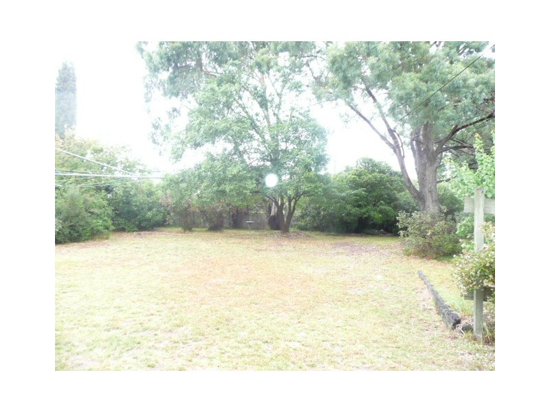 6 Hoadley Street, Mawson ACT 2607