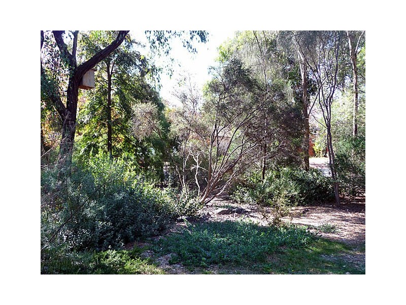 15 Cockburn Street, Curtin ACT 2605