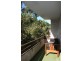 29 Tullimbar Road, Cronulla NSW 2230
