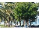 67 Gerrale Street, Cronulla NSW 2230