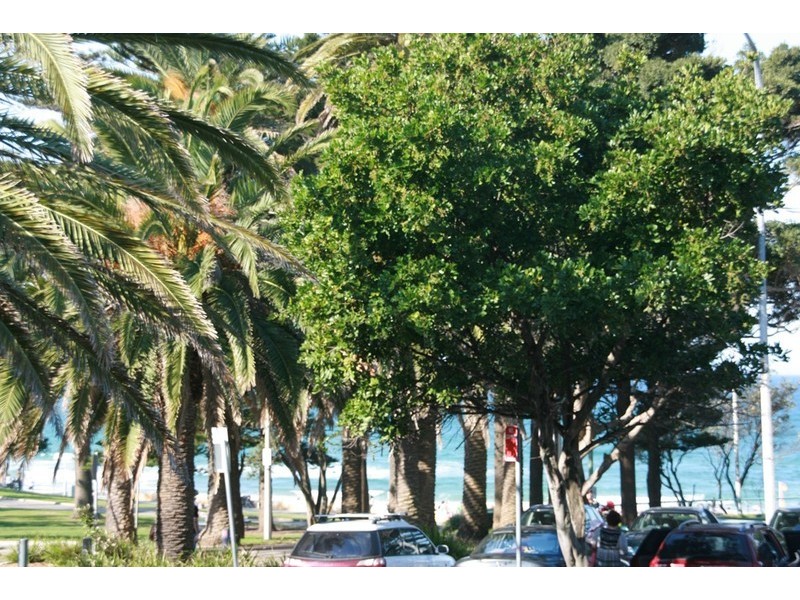 67 Gerrale Street, Cronulla NSW 2230