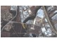 Lot 1 Darlington Drive, Yatala QLD 4207