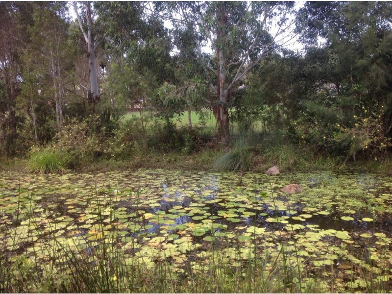 Unit 2 15 Liekefett Way, Little Mountain QLD 4551