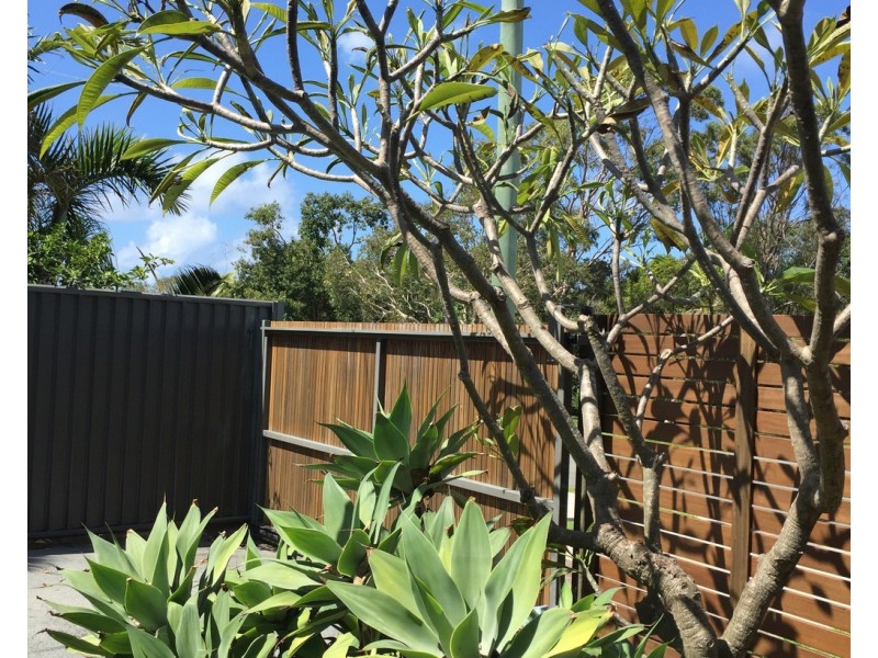 25 Coochin Street, Dicky Beach QLD 4551