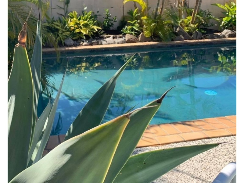 25 Coochin Street, Dicky Beach QLD 4551