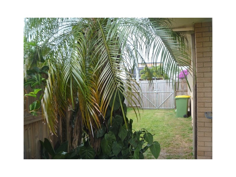49 Moondara Drive, Wurtulla QLD 4575