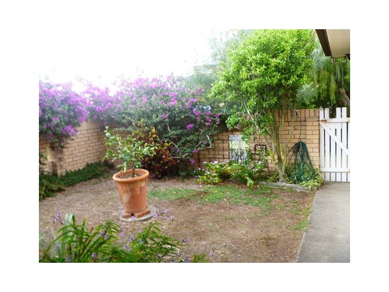 49 Moondara Drive, Wurtulla QLD 4575