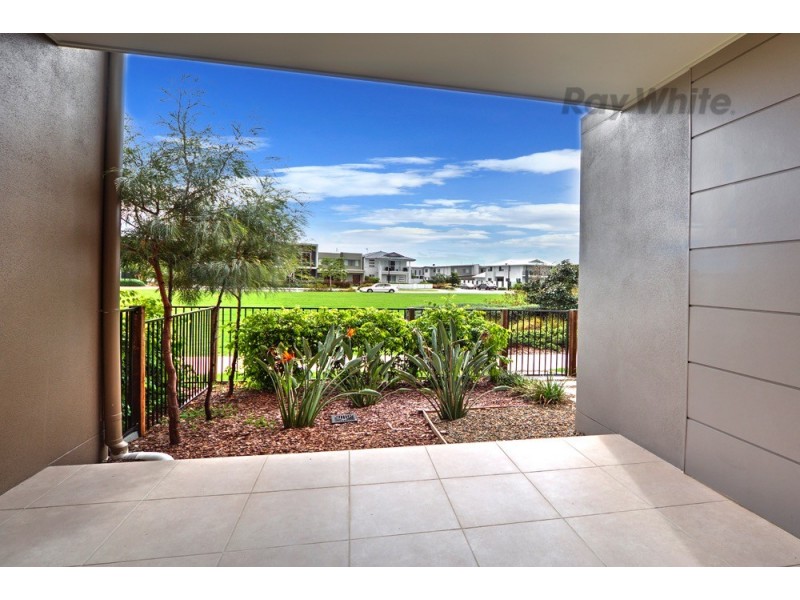 6 Cobbold Lane, Maroochydore QLD 4558